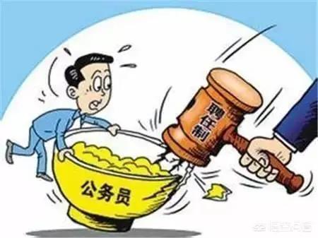 市场监管局与公务员的职责角色及关联深度解析