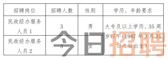 公务员税务系统招聘要求及其重要性解析