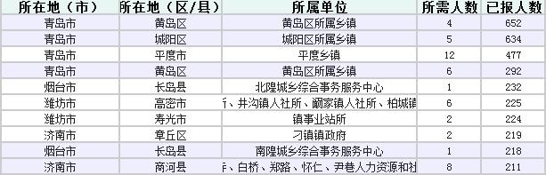 无人报考职位概览，原因探究与未来展望