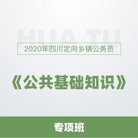 乡镇公务员公共基础知识技巧的重要性与应用策略探讨