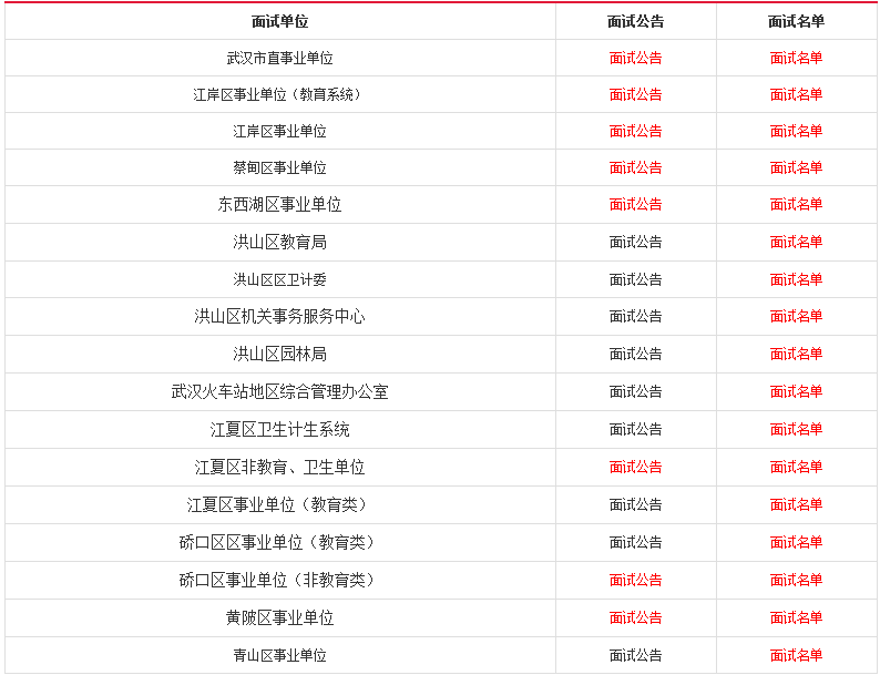 武汉市公招考试内容解析，主要考察领域及要点分析