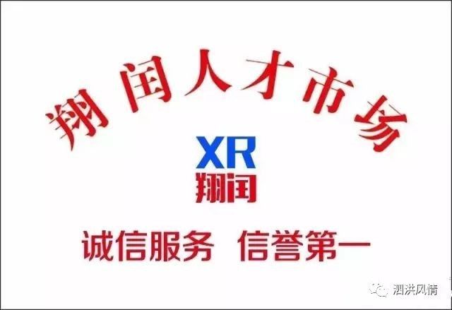 人才市场事业编最新招聘动态深度解读与分析