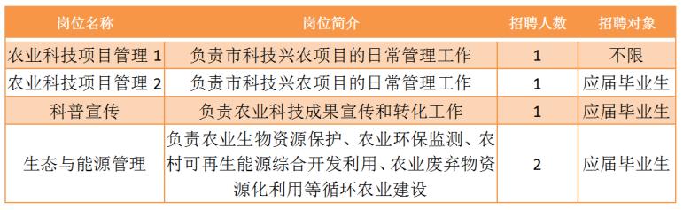 上海事业单位招聘网站，人才与机会的桥梁连接处