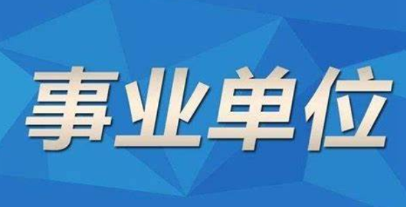 事业单位考察深度解析，内容与方式的全面探讨