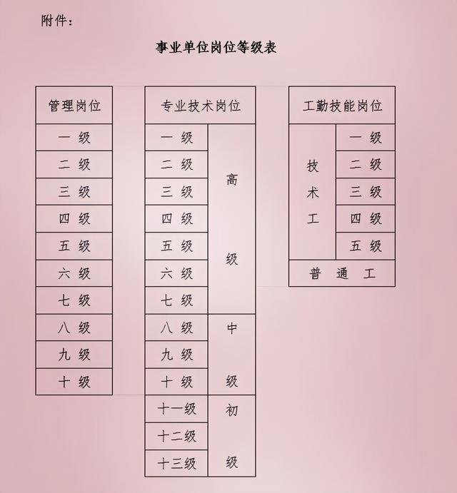 事业单位管理岗位，职责、特点、发展路径全解析