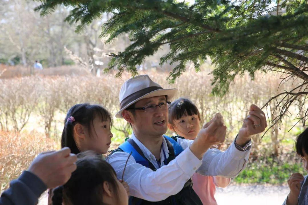 成都幼儿园教师编制报考全攻略