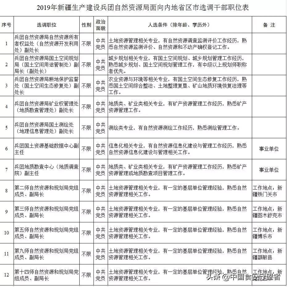 新疆地区公务员职位表，多样性与发展前景的探索