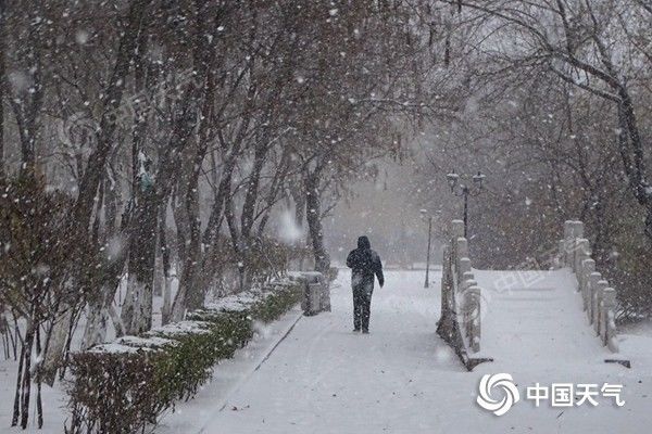 全国雨雪波及，气象现象与社会影响分析