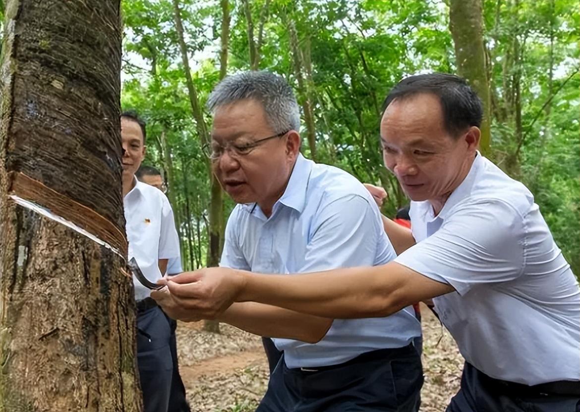 湖南公务员省考题型与题量分布全面解析