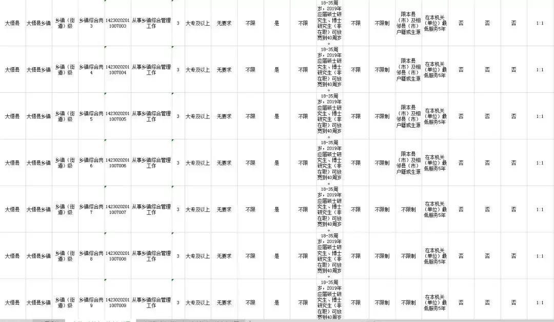 公务员招录岗位表深度解读与探讨