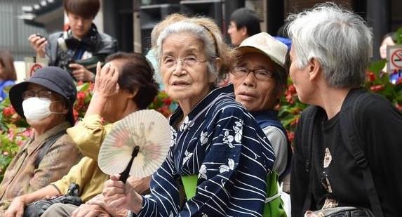 日本老年女性犯罪现象的严峻现状与原因深度解析