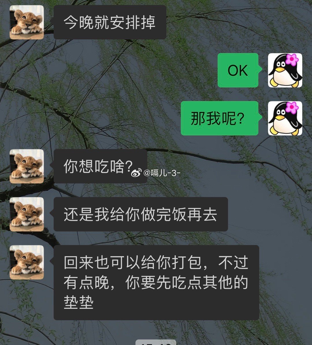 小九的守男德之路，成长与挑战的交织之旅